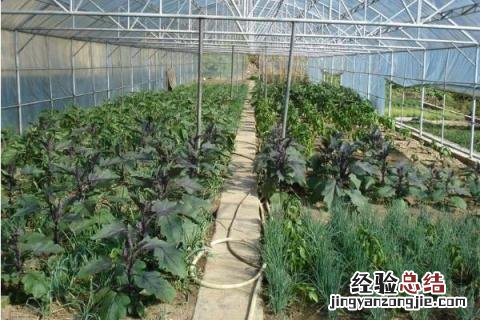 农贸市场适合做什么生意好 农贸市场做什么生意好，有哪些