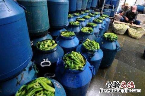 正规的家庭致富小项目 3个在家里能做的致富小项目，有哪些