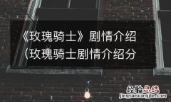 玫瑰骑士剧情介绍分集 《玫瑰骑士》剧情介绍
