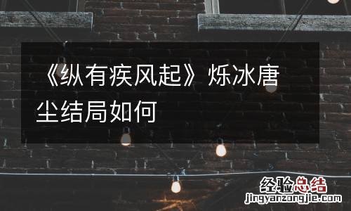 《纵有疾风起》烁冰唐尘结局如何