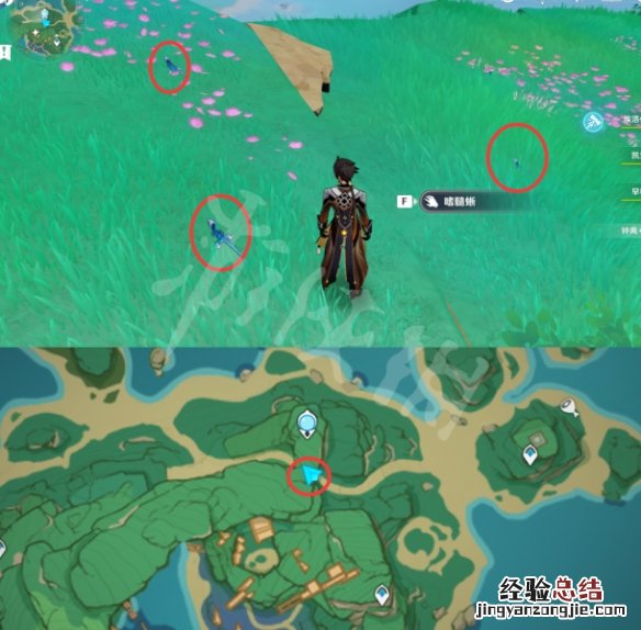 原神蜥蜴在哪抓