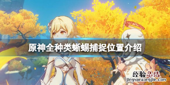 原神蜥蜴在哪抓