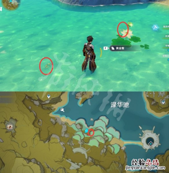 原神螃蟹在哪里采集 原神螃蟹在哪捕捉