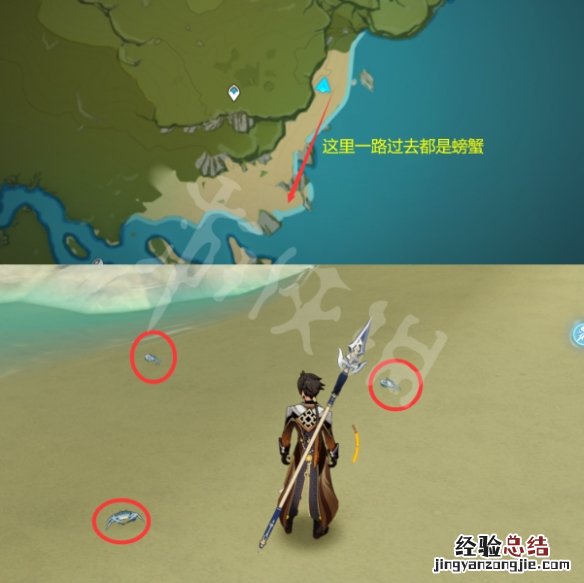 原神螃蟹在哪里采集 原神螃蟹在哪捕捉