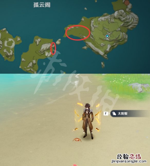 原神螃蟹在哪里采集 原神螃蟹在哪捕捉