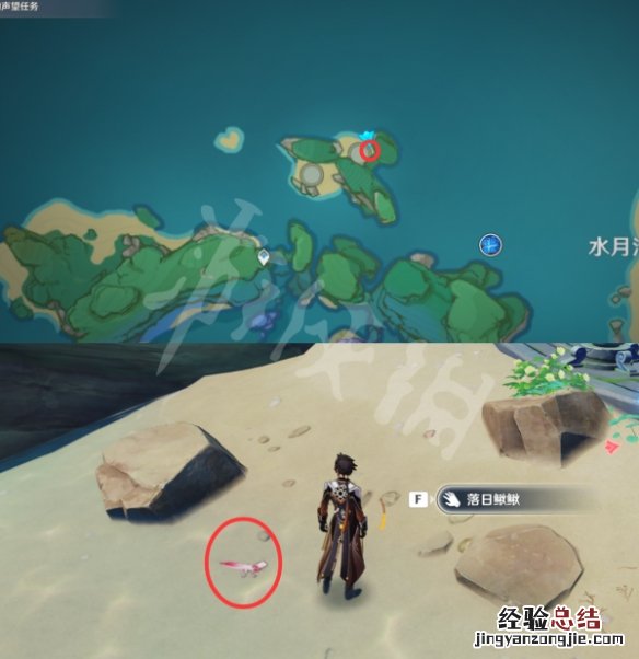 原神鳅鳅在哪抓 原神泥鳅在哪