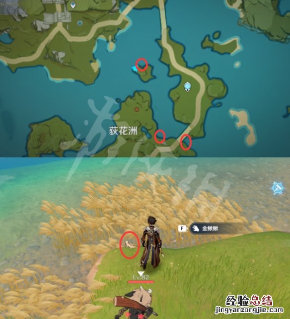 原神鳅鳅在哪抓 原神泥鳅在哪