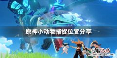 原神动物刷新点 原神动物在哪捕捉
