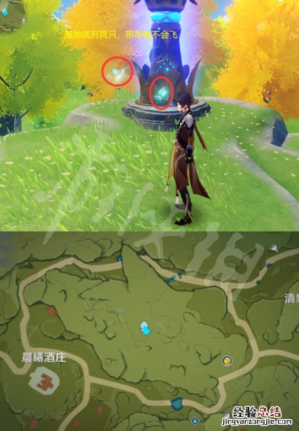 原神晶蝶在哪捕捉 原神中晶蝶怎么抓
