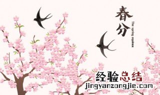 春分是什么意思啊 春分的介绍