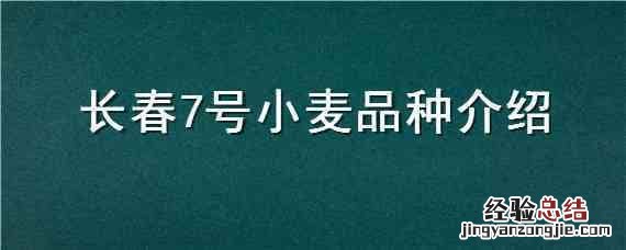 长春7号小麦品种介绍 长春7号小麦品种介绍视频