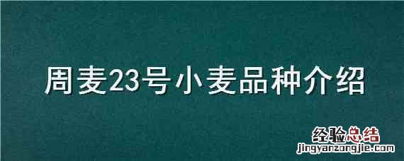 周麦33小麦品种简介 周麦23号小麦品种介绍