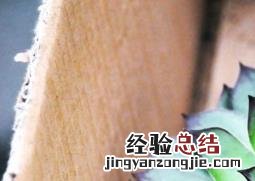 景天科观音莲有毒吗 天南星科观音莲有毒吗