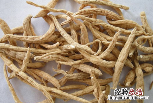 太子参 太子参的功效与作用及禁忌