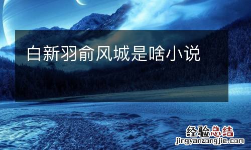 白新羽俞风城是啥小说