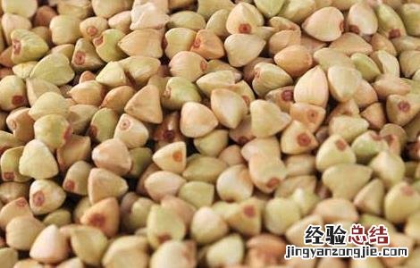 吃荞麦可以减肥吗 喝荞麦能减肥吗