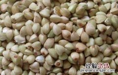 吃荞麦可以减肥吗 喝荞麦能减肥吗