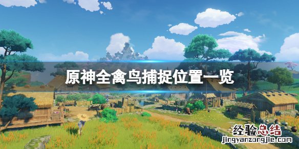 原神禽鸟前四个 原神禽鸟在哪抓