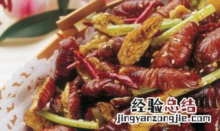 怎样做干煸蚕蛹 做干煸蚕蛹方法