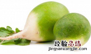 沙窝萝卜甜不甜 沙窝萝卜不好吃