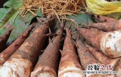 吃竹笋会不会过敏 竹笋吃了过敏