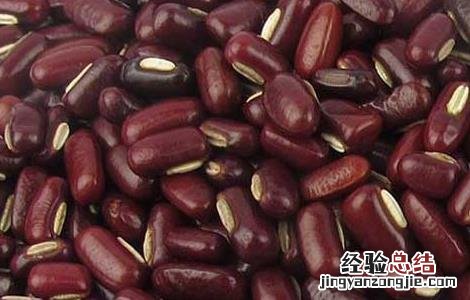 赤小豆可以减肥还是红豆 吃赤小豆能减肥吗