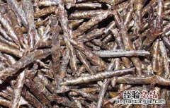 血糖高喝苦丁茶能降下来吗 喝苦丁茶能降血糖吗