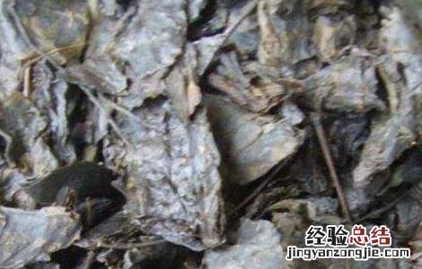 血糖高喝苦丁茶能降下来吗 喝苦丁茶能降血糖吗