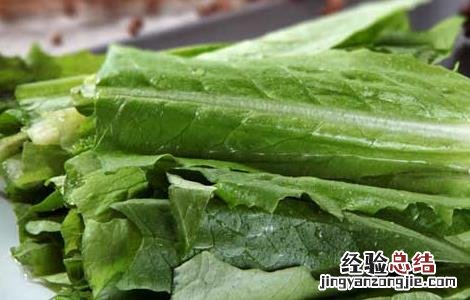 油麦菜可以减肥吗 油麦菜可以减肥吗?