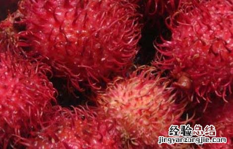 吃红毛丹会上火吗 吃红毛丹会上火吗