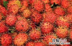 吃红毛丹会上火吗 吃红毛丹会上火吗