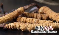 虫草怎么吃才好 怎么吃虫草才好