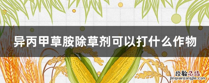 异丙甲草胺除草剂可以打什么作物 异丙甲草胺除草剂可以打什么作物馆说明书为啥只写玉米