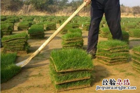 5个农村致富门路,发展特色小吃可以吗