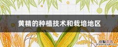 黄精的栽培技术及条件 黄精的种植技术和栽培地区