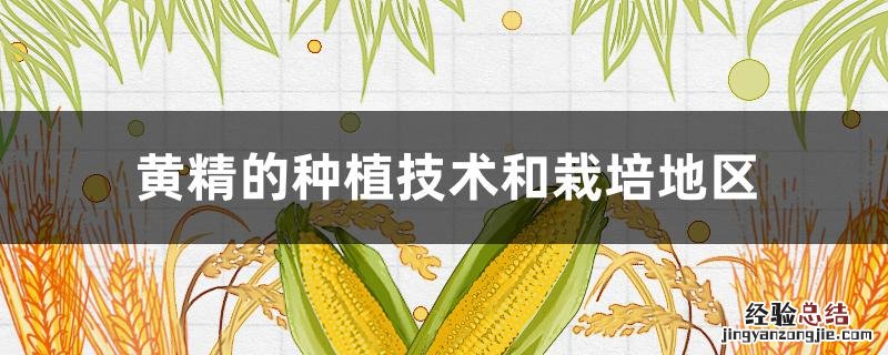 黄精的栽培技术及条件 黄精的种植技术和栽培地区