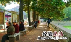 闲聊登不进去怎么办 闲聊登录问题解决步骤
