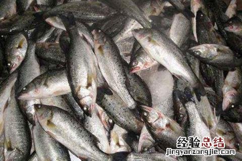 在农村如何致富，根据实际情况选择合适项目