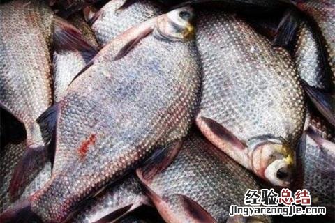 4个新致富项目，新型项目前景可观 现在有什么致富新项目