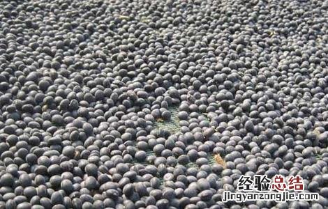 醋泡黑豆减肥小常识 醋泡黑豆减肥小常识图片