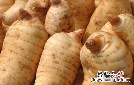 吃天麻能补肾吗 吃天麻能补肾吗女性
