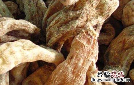 吃天麻能补肾吗 吃天麻能补肾吗女性