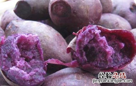 紫薯和红薯哪个更减肥 紫薯和红薯哪个更有营养