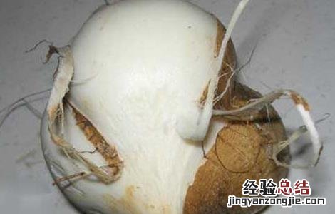 晚上吃地瓜会胖吗 晚上吃地瓜会胖么