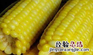 什么时间吃玉米最减肥 吃玉米的最佳时间