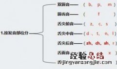 如何按发音部位排列声母 声母排列