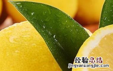 新鲜柠檬怎么吃最好呢 新鲜柠檬怎么吃最好