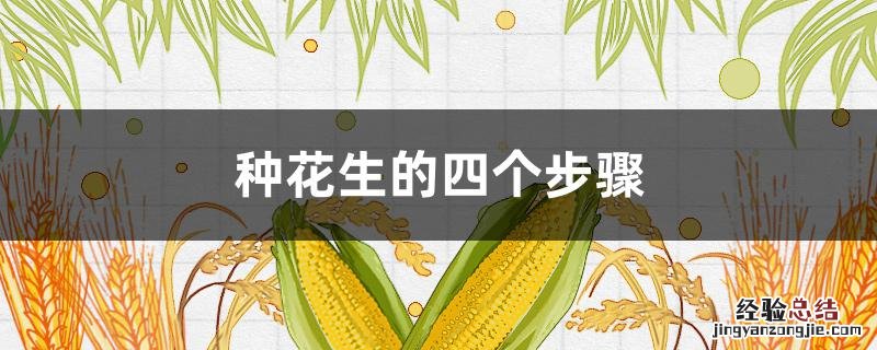 种花生的四个步骤视频 种花生的四个步骤