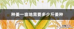 种姜一亩地需要多少公斤 种姜一亩地需要多少斤姜种