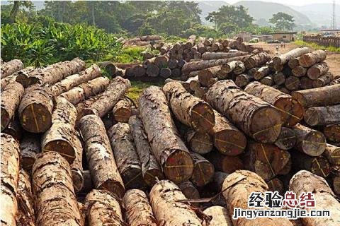 农村干什么行业能挣钱，项目多需选合适自己的